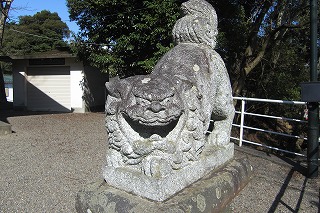 五十猛神社狛犬阿形.jpg