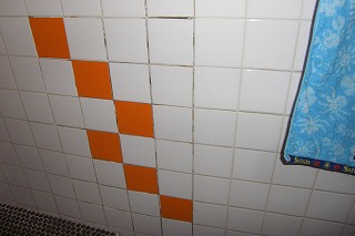 トイレのタイル.jpg