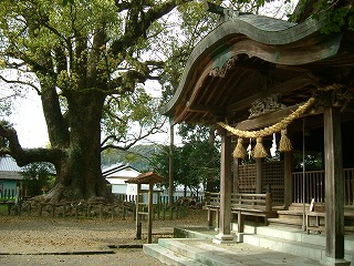 南方神社とクスの巨木.jpg